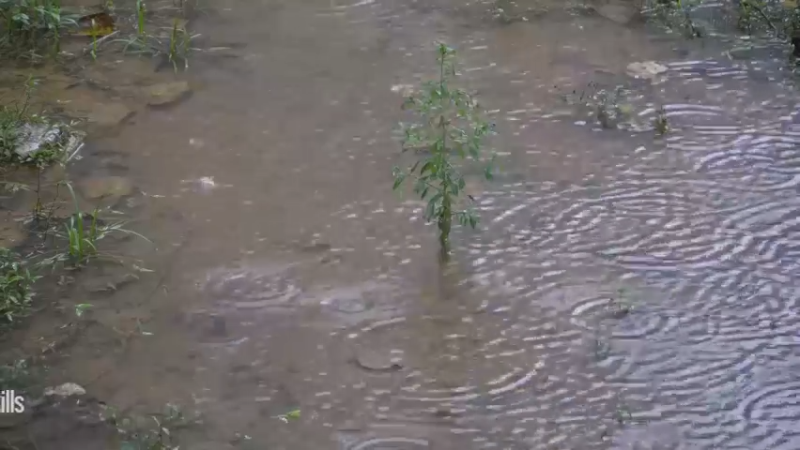 #制作农家研磨水车8浪漫山野3基地】《如果你一无所有 进入单人我的世界，自由荒野 离网乐园 全手工制作耕种 快乐野外生活》