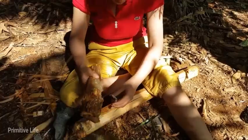 偏远边塞 云南妹子丛林之家(7)更新第一集