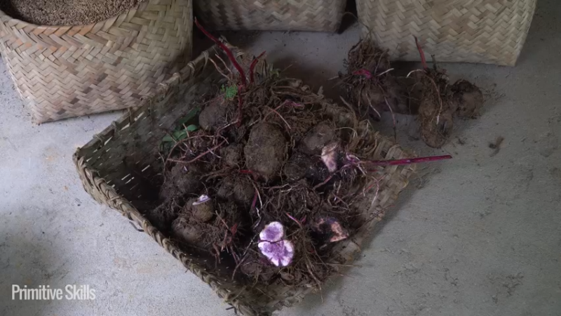 #农家研磨水车调试9荒野3基地】《如果你一无所有 进入单人我的世界，自由荒野 离网乐园 全手工制作耕种 快乐野外生活》