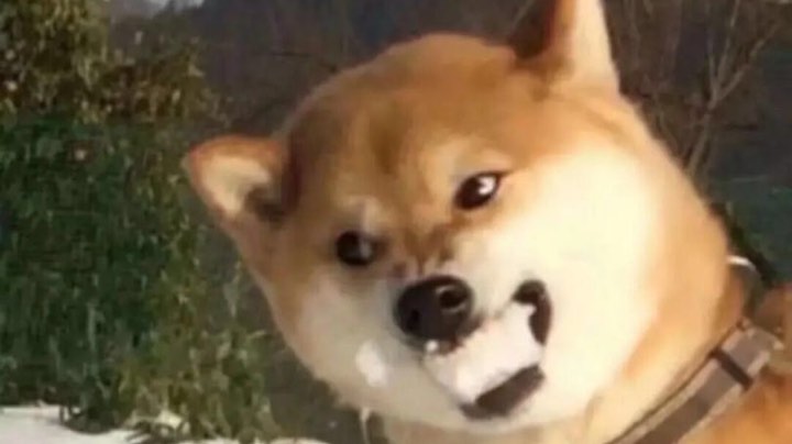 就这