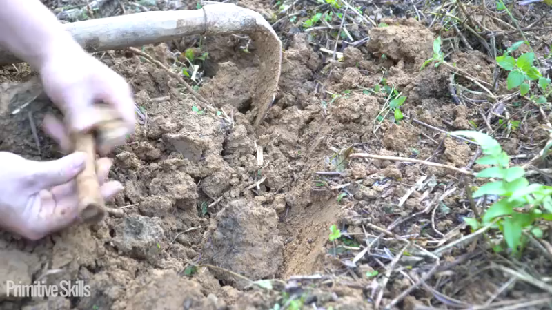 #木棉选种和农作物种植(13)【浪漫山野3基地】《如果你一无所有 进入单人我的世界，自由荒野 离网乐园 全手工制作耕种 快乐野外生活》