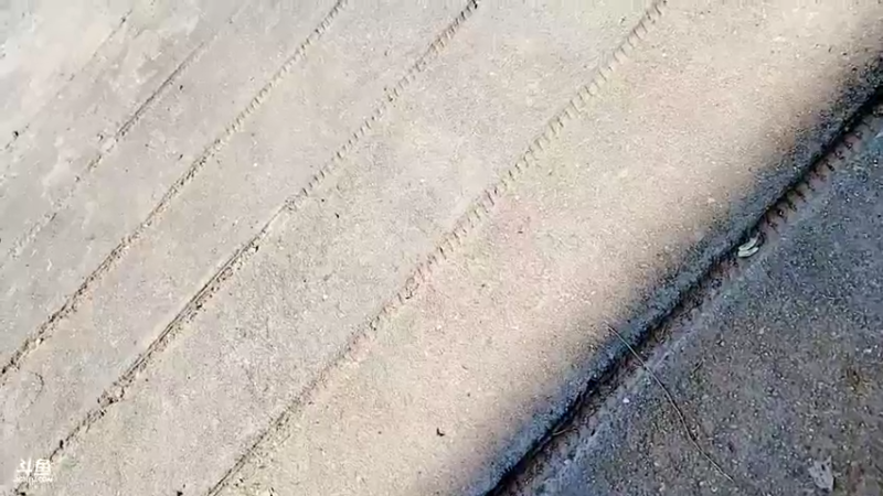 【2021-09-23 11点场】洪湖小肖：欢迎鱼皇回归