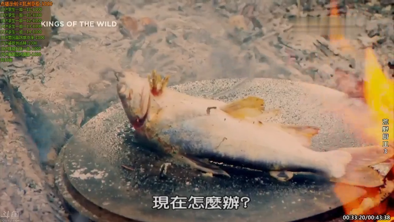 【纪录片】酷炫你你你的精彩时刻 20210923 14点场