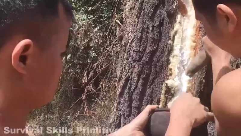 第3年户外荒野技术的总结_(1)看看青铜是时代是怎么到来的