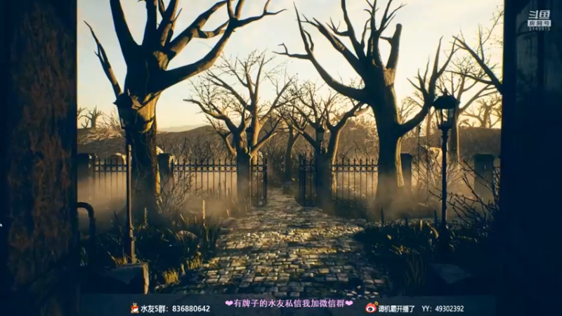 【2021-09-23 22点场】谭机霸开播了：⭐霸霸⭐最强萌新教学，不懂你要问啊！