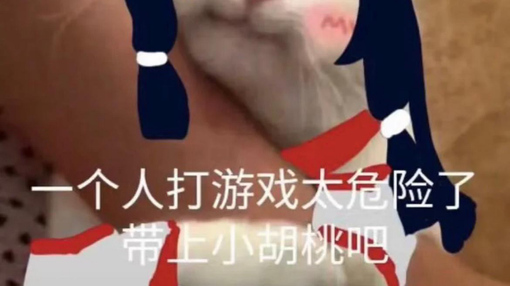 快tm来救救胡桃