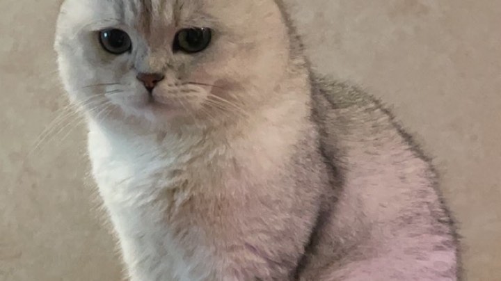 222直播回看