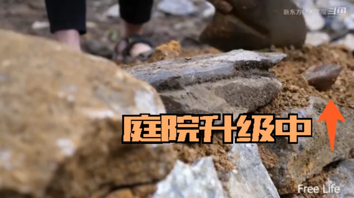 野外觅桃源W16庭院升级5#妹子独自深入荒野隐居，建设世外桃源