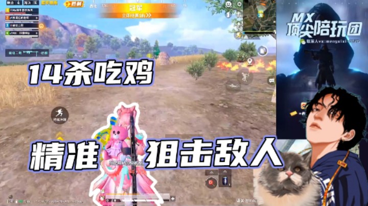 【凉白开OAO】14杀吃鸡，精准狙击每一个敌人