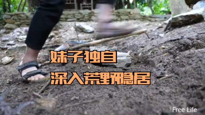 野外觅桃源W16庭院升级4#妹子独自深入荒野隐居，建设世外桃源