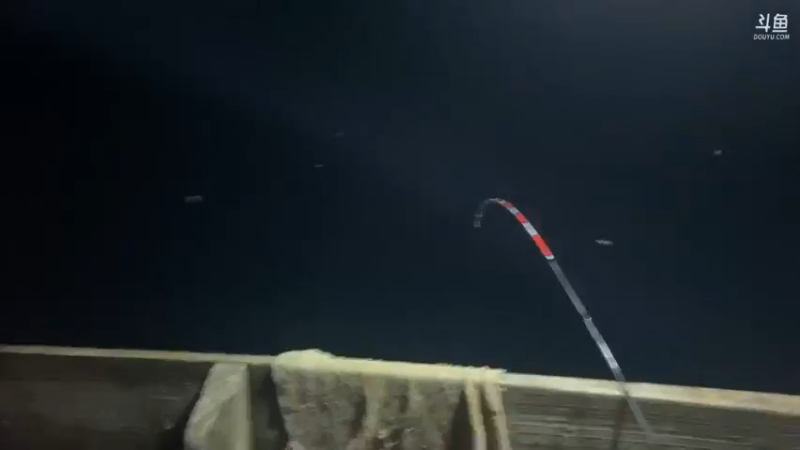 【2021-09-24 19点场】魅力生活i：船上伐钓美食