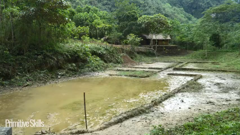 3基地1121制作独轮车(9)山野】《如果你一无所有 进入单人我的世界，自由荒野 离网乐园 全手工制作耕种 快乐野外生活》