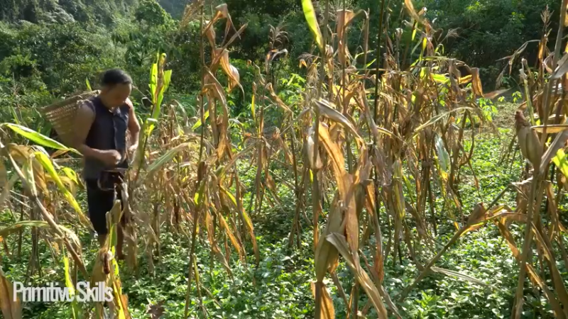 3基地B127装修游泳池(2)山野基地】《如果你一无所有 进入单人我的世界，自由荒野 离网乐园 全手工制作耕种 快乐野外生活》