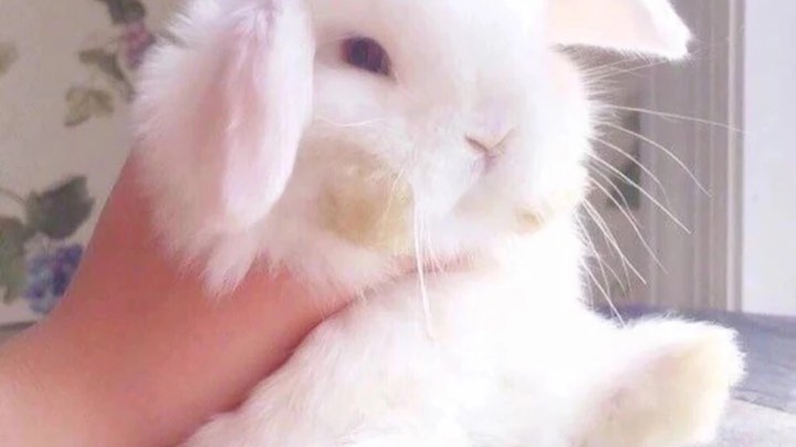 ！