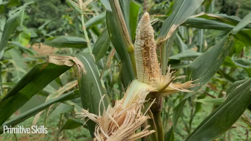 3基地b123需要稳定的动力发电？(5)山野基地】《如果你一无所有 进入单人我的世界，自由荒野 离网乐园 全手工制作耕种 快乐野外生活》