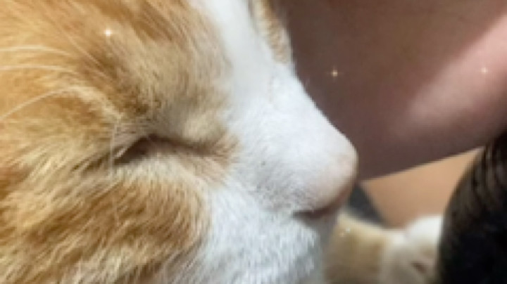 小天使，再多陪鱼宝几天，可以吗
我爱你❤️
（ps：福宝如果还能再坚持一段时间，鱼宝还会带着福宝继续直播，留下最美好的样子。宝贝们等着我们回来，好吗）