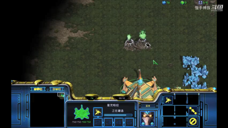 pvp天梯水螅2021-09-25-27