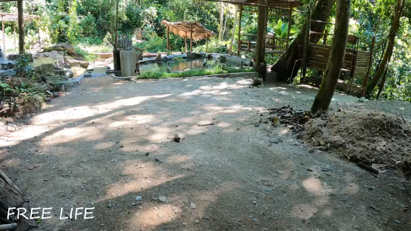 野外觅桃源W39野钓休闲烹饪17#妹子独自深入荒野隐居，建设世外桃源