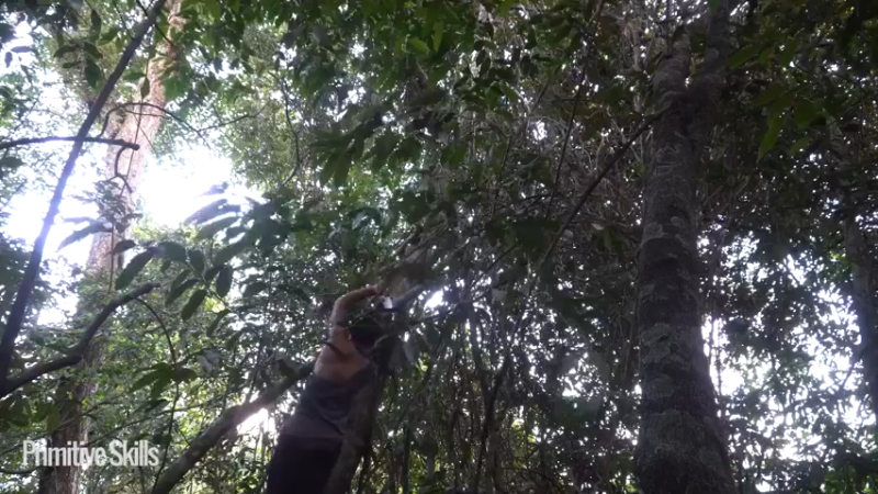 3基地B125平民草鞋王(6)山野基地】《如果你一无所有 进入单人我的世界，自由荒野 离网乐园 全手工制作耕种 快乐野外生活》