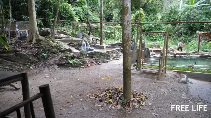 野外觅桃源W35修建传统房子3#妹子独自深入荒野隐居，建设世外桃源