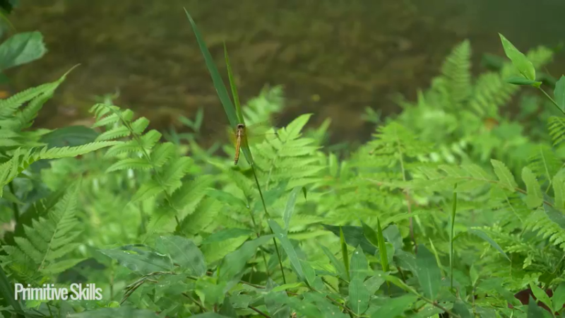 3基地B125平民草鞋王(28)山野基地】《如果你一无所有 进入单人我的世界，自由荒野 离网乐园 全手工制作耕种 快乐野外生活》
