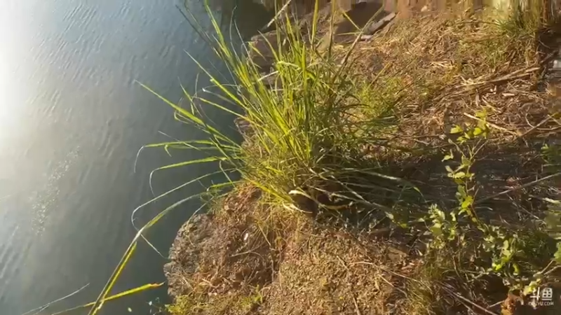 【2021-09-25 17点场】魅力生活i：提前给大哥们打窝