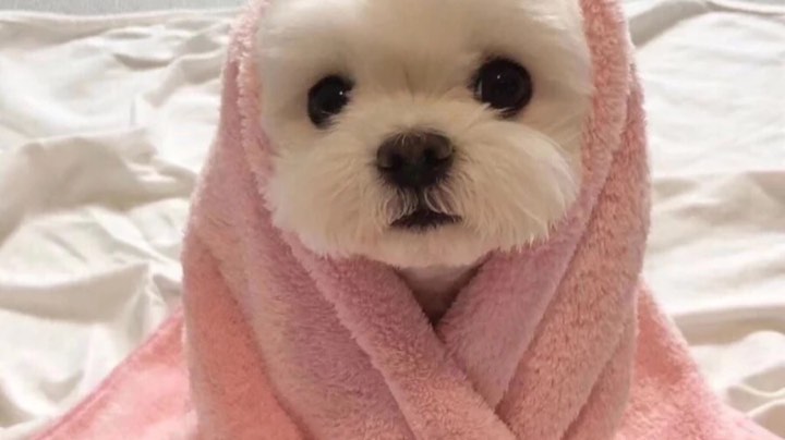 ！
