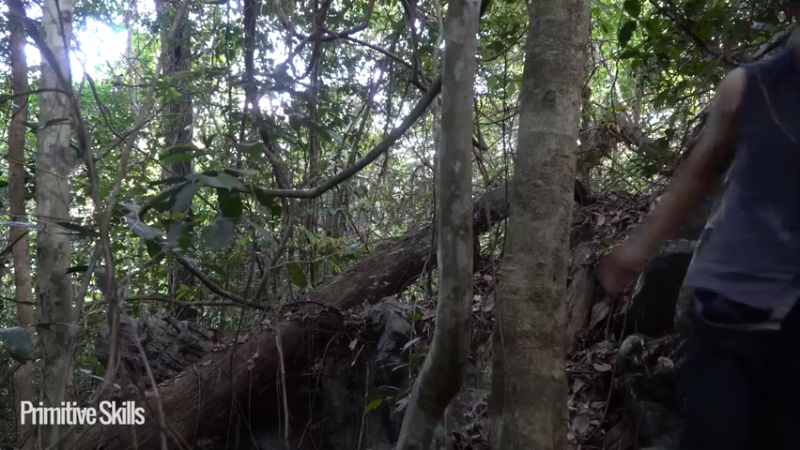 3基地B125平民草鞋王(3)山野基地】《如果你一无所有 进入单人我的世界，自由荒野 离网乐园 全手工制作耕种 快乐野外生活》
