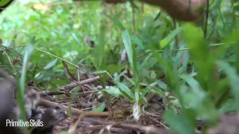 3基地B125平民草鞋王(16)山野基地】《如果你一无所有 进入单人我的世界，自由荒野 离网乐园 全手工制作耕种 快乐野外生活》