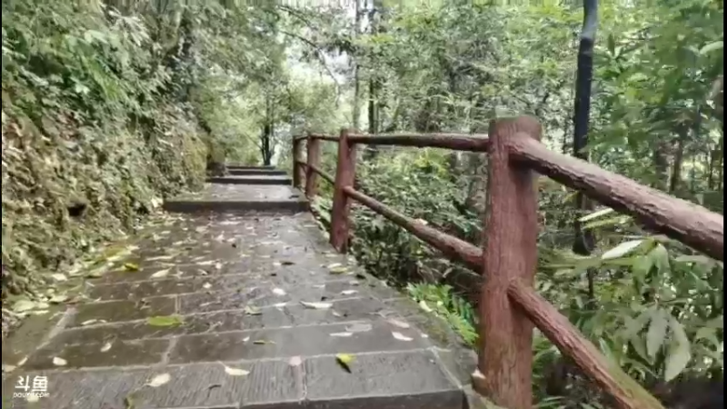 【2021-09-24 09点场】骚冉丶：登顶金顶看日出