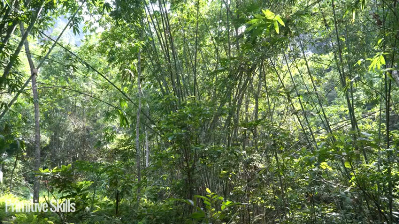 3基地b123需要稳定的动力发电？(19)山野基地】《如果你一无所有 进入单人我的世界，自由荒野 离网乐园 全手工制作耕种 快乐野外生活》