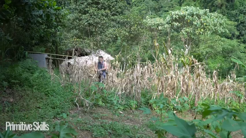 3基地B127装修游泳池(3)山野基地】《如果你一无所有 进入单人我的世界，自由荒野 离网乐园 全手工制作耕种 快乐野外生活》