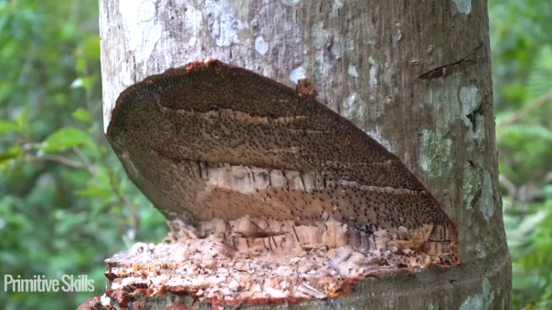 3基地b122需要游泳池(11)山野基地】《如果你一无所有 进入单人我的世界，自由荒野 离网乐园 全手工制作耕种 快乐野外生活》