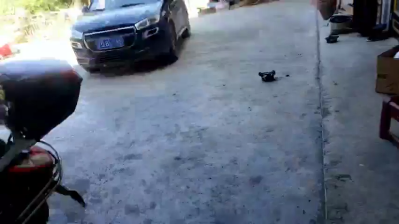 【2021-09-25 10点场】魅力生活i：煮玉米打窝