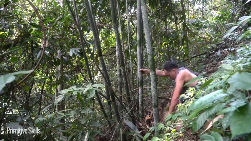 3基地B126竹筏旅游(2)山野基地】《如果你一无所有 进入单人我的世界，自由荒野 离网乐园 全手工制作耕种 快乐野外生活》