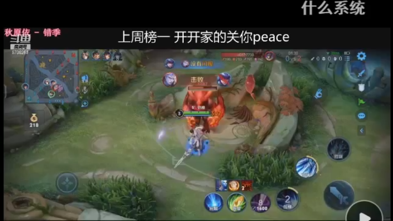 骚扰我打野者 虽远必诛