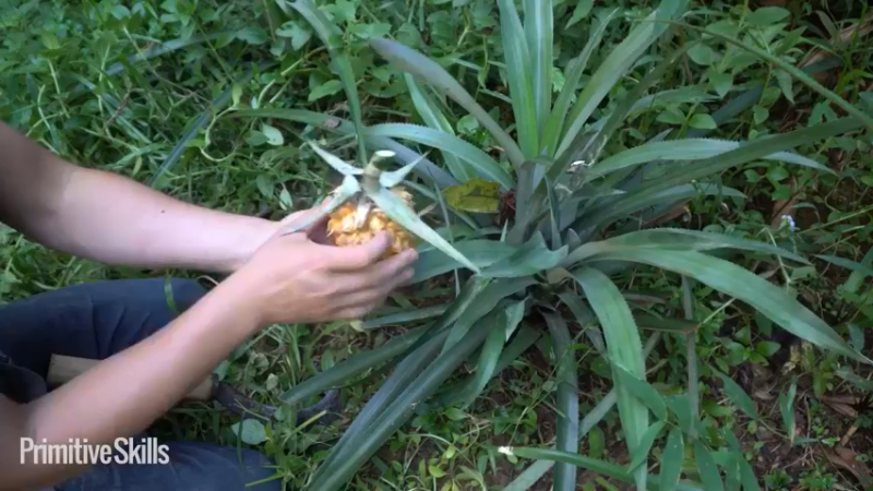 3基地B124卫生间自来水系统(18)山野基地】《如果你一无所有 进入单人我的世界，自由荒野 离网乐园 全手工制作耕种 快乐野外生活》