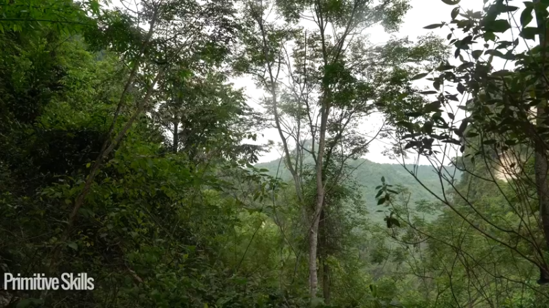 3基地b122需要游泳池(12)山野基地】《如果你一无所有 进入单人我的世界，自由荒野 离网乐园 全手工制作耕种 快乐野外生活》