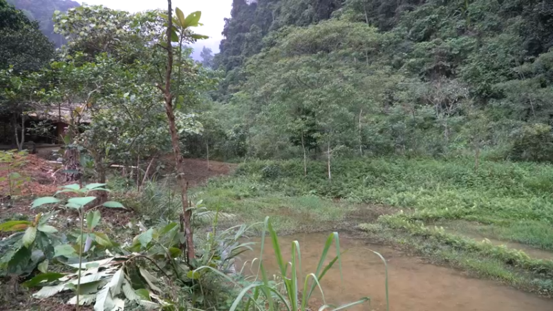 3基地1121制作独轮车(1)山野】《如果你一无所有 进入单人我的世界，自由荒野 离网乐园 全手工制作耕种 快乐野外生活》