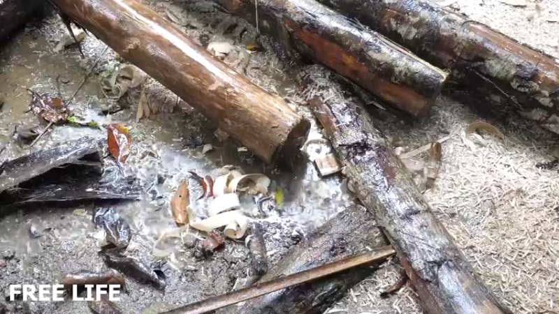 野外觅桃源W37房子地基下11#妹子独自深入荒野隐居，建设世外桃源