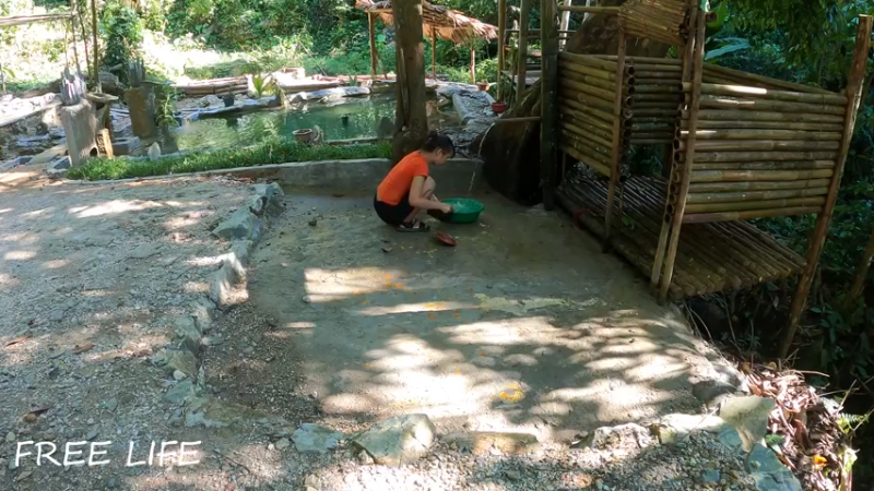野外觅桃源W39野钓休闲烹饪19#妹子独自深入荒野隐居，建设世外桃源