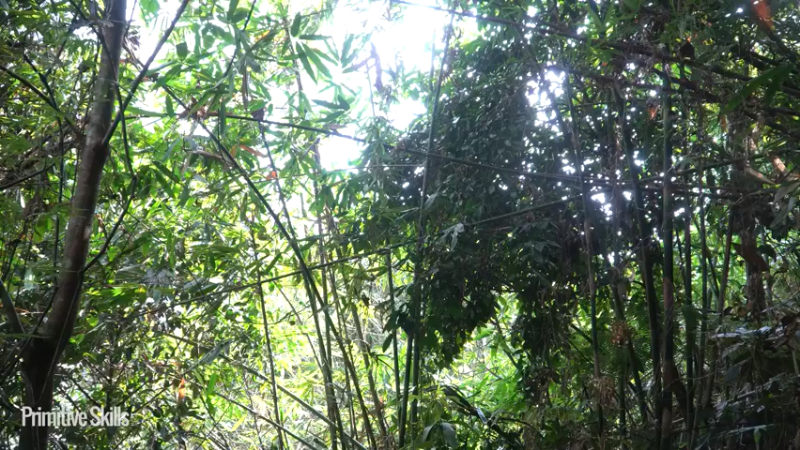 3基地B126竹筏旅游(5)山野基地】《如果你一无所有 进入单人我的世界，自由荒野 离网乐园 全手工制作耕种 快乐野外生活》