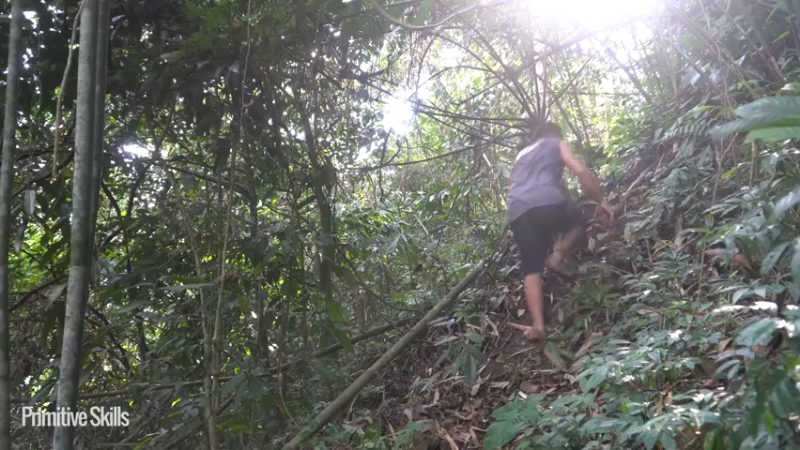 3基地B126竹筏旅游(4)山野基地】《如果你一无所有 进入单人我的世界，自由荒野 离网乐园 全手工制作耕种 快乐野外生活》