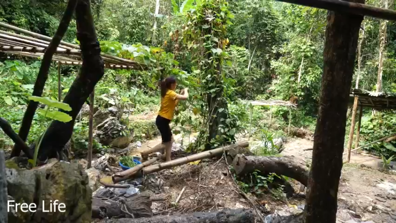 野外觅桃源W32打造休闲椅舒服了10#妹子独自深入荒野隐居，建设世外桃源