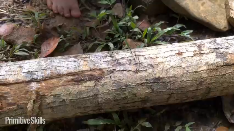 3基地B124卫生间自来水系统(2)山野基地】《如果你一无所有 进入单人我的世界，自由荒野 离网乐园 全手工制作耕种 快乐野外生活》