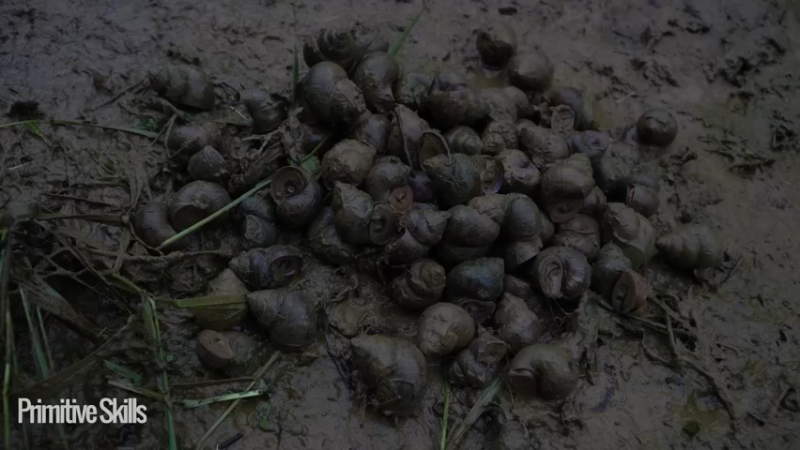 3基地1121制作独轮车(8)山野】《如果你一无所有 进入单人我的世界，自由荒野 离网乐园 全手工制作耕种 快乐野外生活》