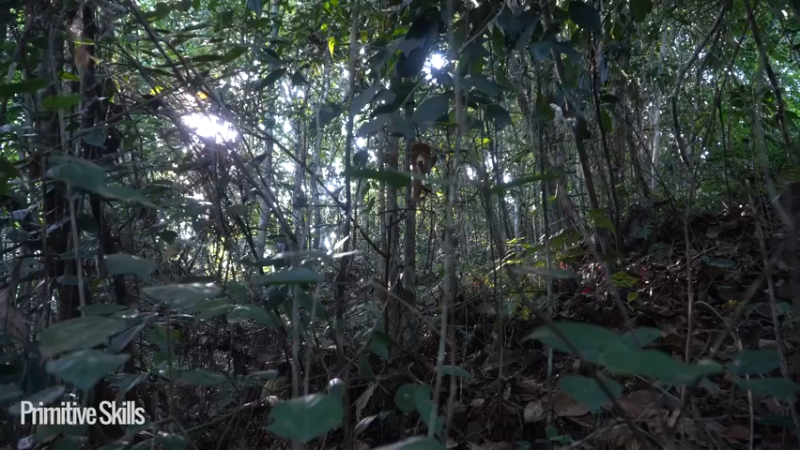 3基地B125平民草鞋王(2)山野基地】《如果你一无所有 进入单人我的世界，自由荒野 离网乐园 全手工制作耕种 快乐野外生活》