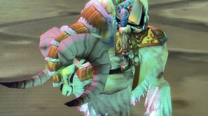 TNB第二周毒蛇国服第二风暴国服第一