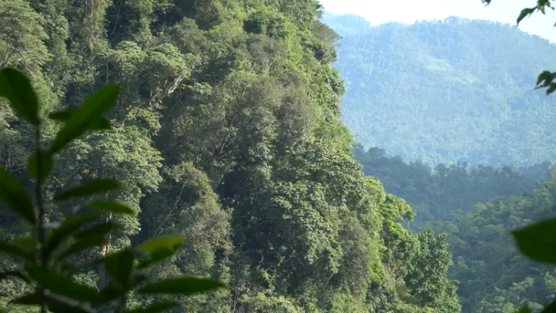 3基地B125平民草鞋王(1)山野基地】《如果你一无所有 进入单人我的世界，自由荒野 离网乐园 全手工制作耕种 快乐野外生活》