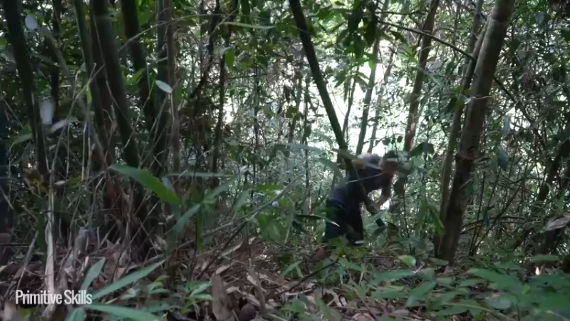 3基地B126竹筏旅游(3)山野基地】《如果你一无所有 进入单人我的世界，自由荒野 离网乐园 全手工制作耕种 快乐野外生活》